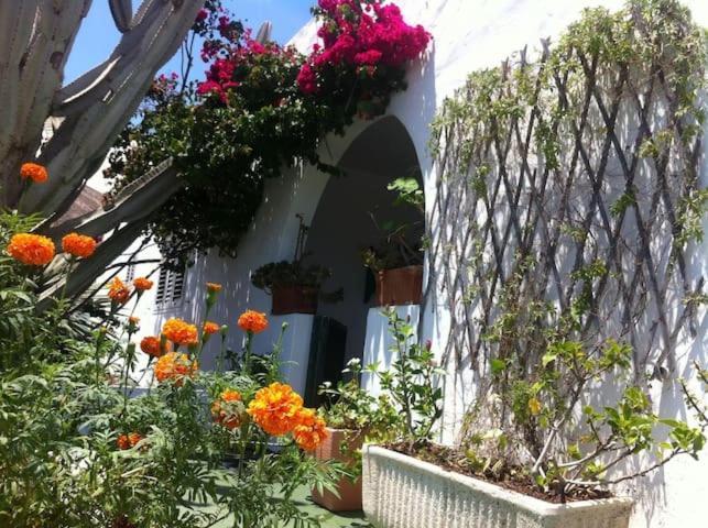 Villa Tranquila Orzola Exterior foto
